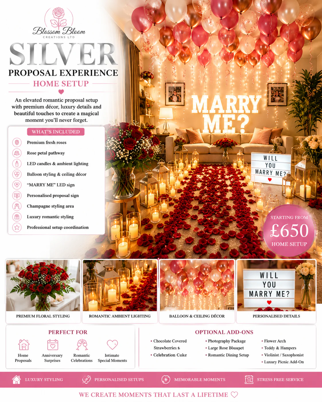 Silver Proposal Experience - Image 2