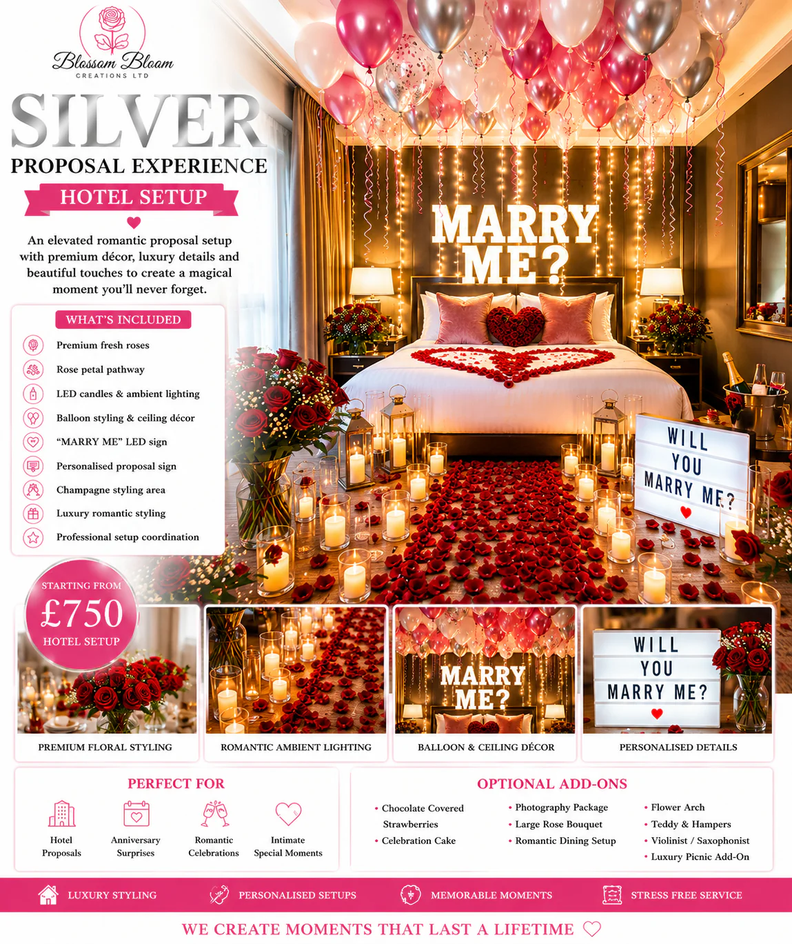 Silver Proposal Experience - Image 3